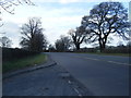 SJ7765 : A50 looking towards Park House Lodge by Colin Pyle