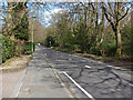 SU8959 : Old Bisley Road, Frimley by Alan Hunt