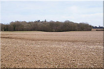 SU5952 : Boddins Field - 31.5 acres by Mr Ignavy