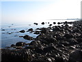 J3416 : Kelp covered stones at Ballymartin Beach by Eric Jones