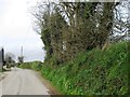 Country lane, Highgate