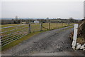 Farm access road near Llandissilio