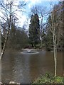 Newent Lake, fountain to aerate water