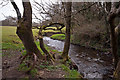 SS5226 : The view from Newton Tracey down a stream which runs into Langham Lake by Roger A Smith