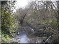 Beverley Brook, Putney