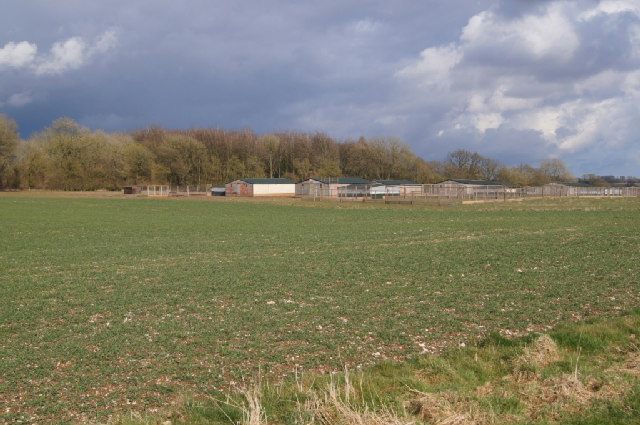 Pheasant Pens - Southwood Farm © Mr Ignavy Cc-by-sa/2.0 :: Geograph ...