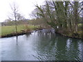 TG1208 : River at Marlingford Mill by Geographer