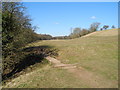 Ladybrook Valley Interest Trail (small footbridge)