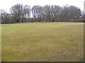 TG1208 : Marlingford Cricket Field by Geographer