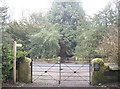 NZ0284 : Gated crossing over the B6342 road by Stanley Howe