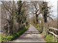 Track near Bowgreen Farm