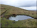 Pool on Brown Wardle Hill