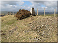 Pen y Mwdwl trig