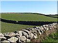 Grazing land on a drumlin bordering Ballyveaghbeg Road