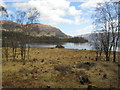 NN1887 : Loch Lochy at Bunarkaig by Jennifer Jones