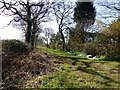 Bridleway Towards Barton House