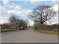 Broadoak Lane, High Legh