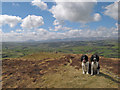 Moel Unben summit