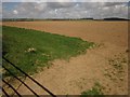 Field near Coldridge