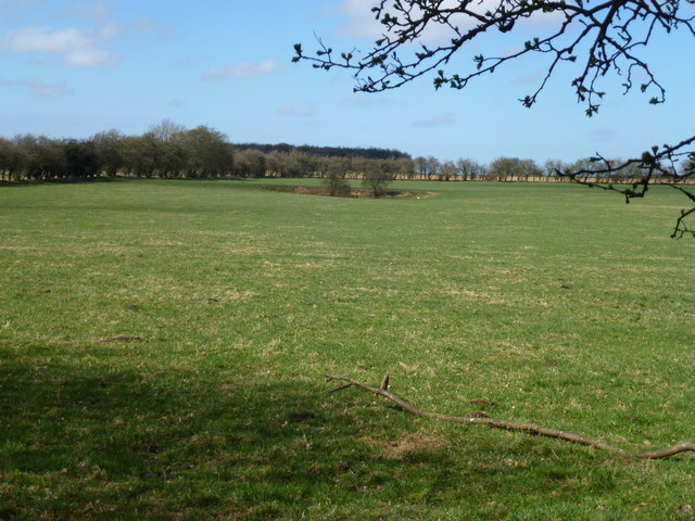 Pasture east of Great Massingham