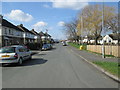 Towngate Avenue - looking towards Towngate