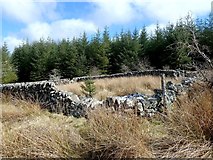 NX1981 : Sheepfold on Shiel Hill by Mary and Angus Hogg