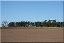 NT3770 : Looking towards Falside Castle by Anne Burgess