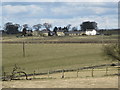 Farmland south of Halton Shields