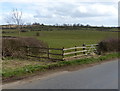 Pasture along Knossington Road