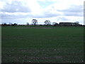 Farmland south of the A5190