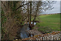 The view down a stream at Bucks Mill