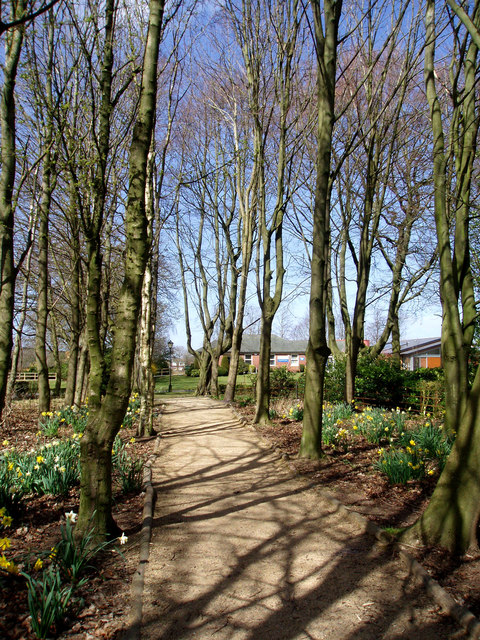 Footpath within Parkhaven Trust grounds
