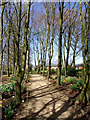 Footpath within Parkhaven Trust grounds