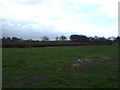 Farmland, Knowle Farm