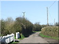 Old Hall Lane near Tollesbury, Essex