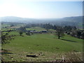 Spring sheep pastures below the Rholben, Abergavenny