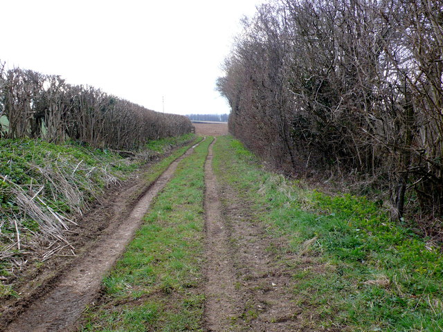 Track off Hinton Lane. 