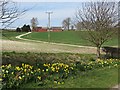 Shiptondale Farm from Warter Road