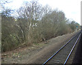 Railway towards Sheffield, Unstone