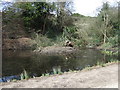 Pond on the nature trail