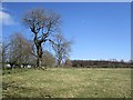 Renfrewshire farmland