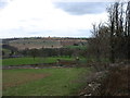 Looking across the Guiting Grange estate