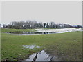 Damp ground in a field near Aston Rogers