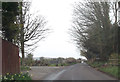 Minor road to Cranborne beside Creech Hill House