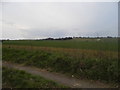 View from Ashford Road, Lenham