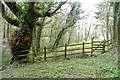 Gate at Hawkmoor Park