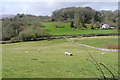 Pasture above Slade Cross