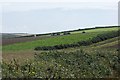 Potato harvest near Winterton