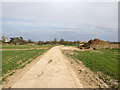 Footpath to Grantchester