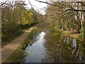 The Basingstoke Canal